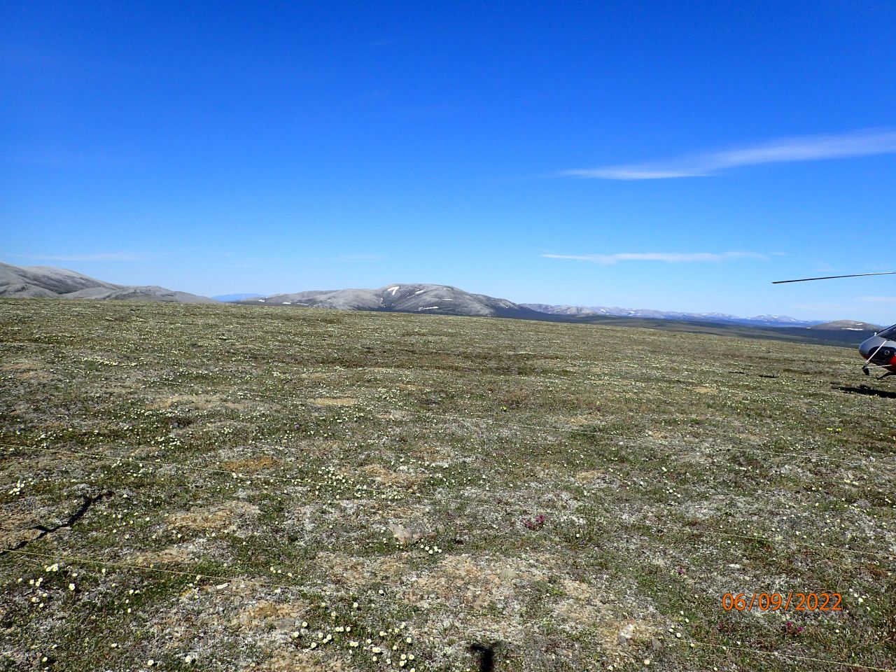 North