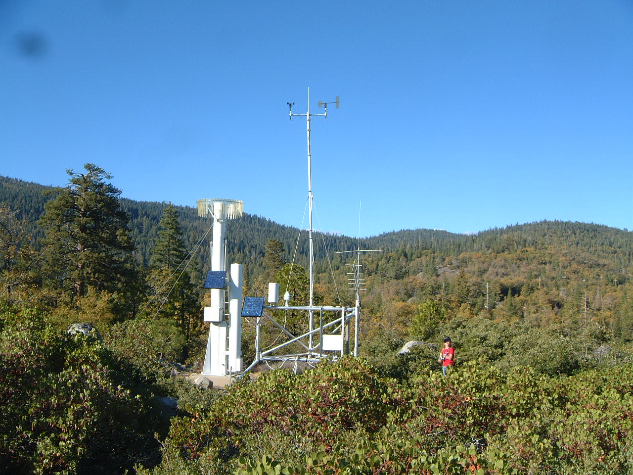 South