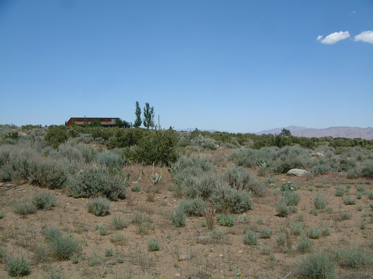 Location Galena Nevada