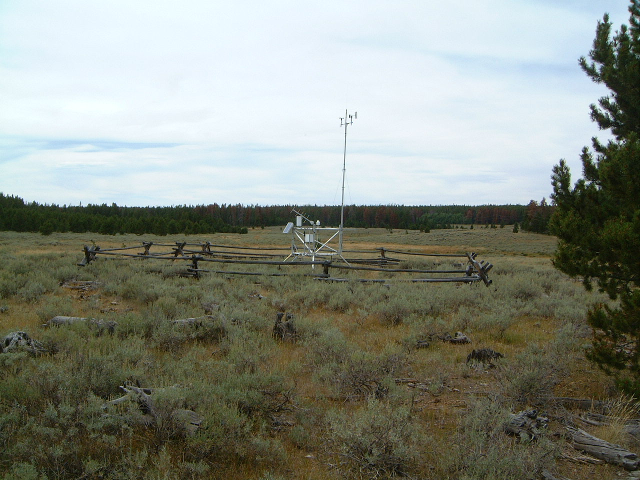 Saw Mill Park Wyoming